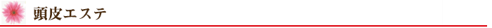 頭皮エステ